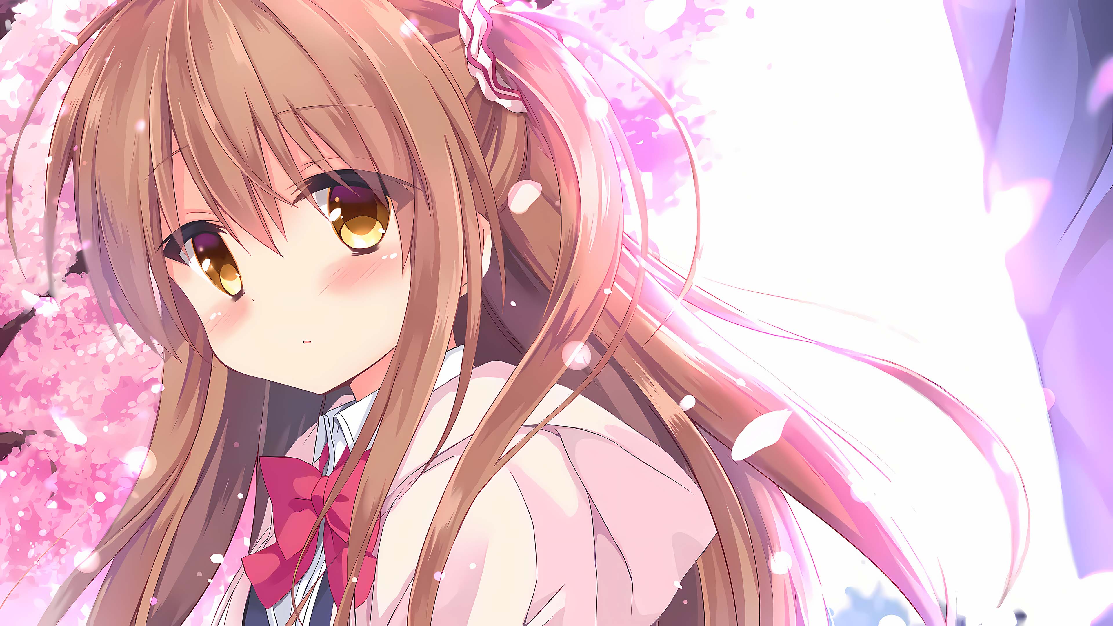 Featured image of post MCP详解指南